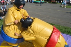 sumo1
