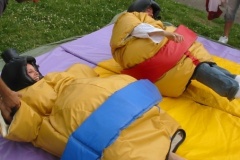 sumo2
