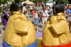 sumo3