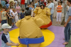 sumo4